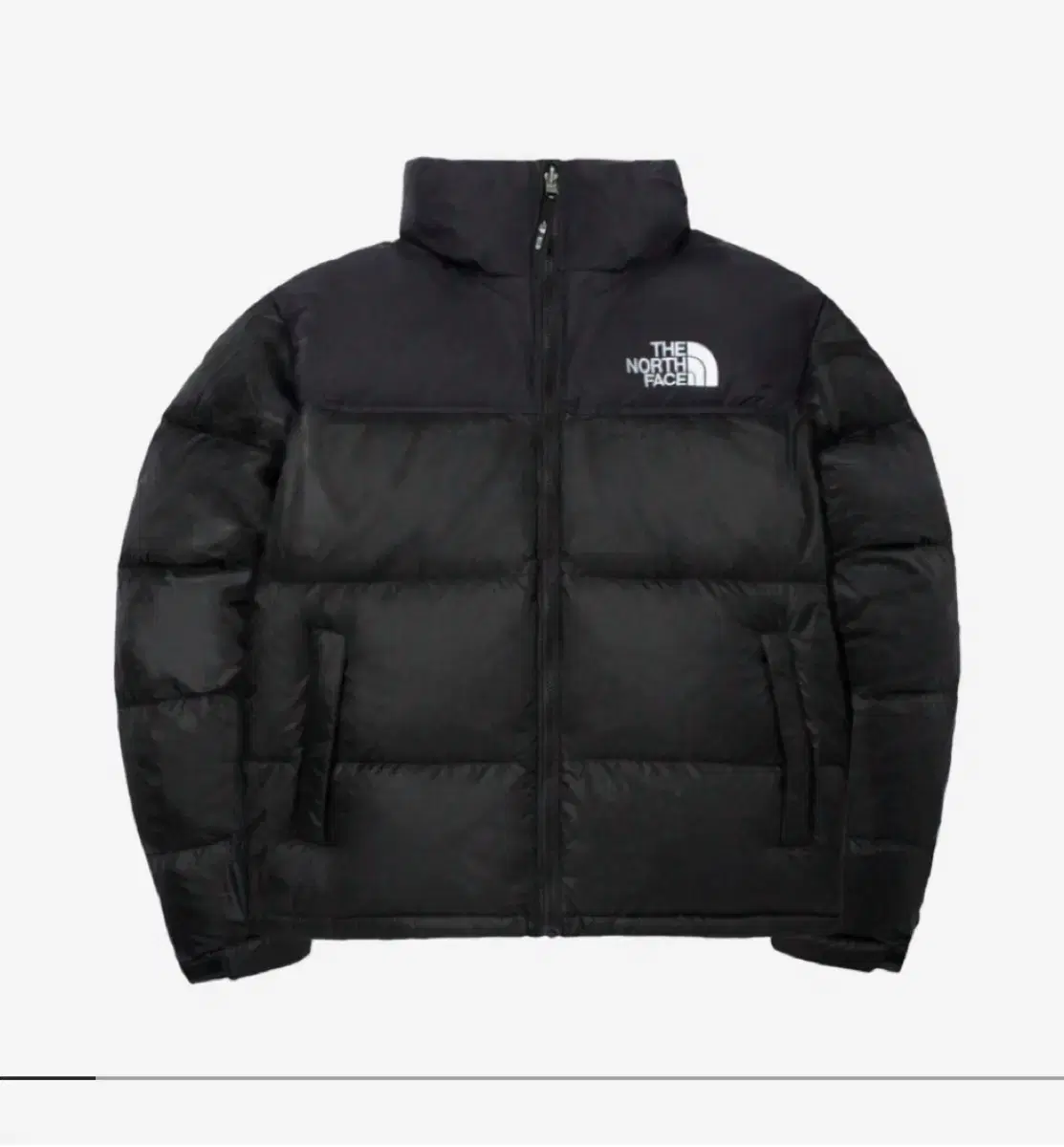 【美品・極希少3XL】ノースフェイス 1996 韓国ECO ヌプシジャケット 黒 ザノースフェイス 1996 ECO NUPTSE DOWN JACKET 男女OK (THE